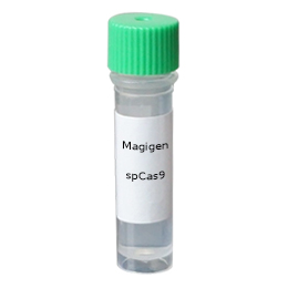 Magigen CRISPR/Cas9 Gene editing tools-spCas9 protein 400p