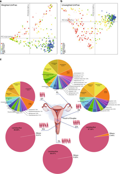 女性生殖腔道微生物群落分布