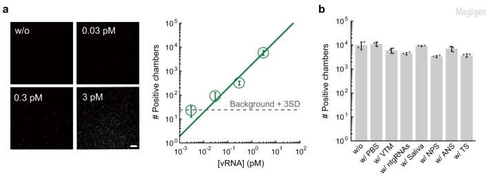 无需扩增的CRISPR/Cas13蛋白 RNA检测技术