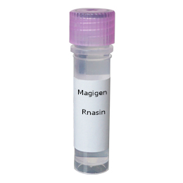 美格Magicscript RNA酶抑制剂 100-RNASE抑制剂