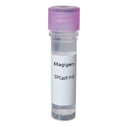 Magigen CRISPR/Cas9 Gene editing tools-SPCas9-NG 400p