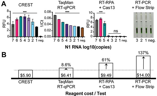 CRISPR CAS13A蛋白，taq酶，低成本快速核酸检测系统