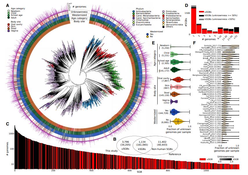 用宏基因组分析基因组，揭示大量的未经探索的人类微生物群