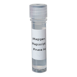 Magigen核酸内切酶 | Rnase H（E.coli）2500-核糖核酸酶价格