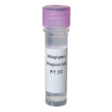 Magicscript Reverse Transcriptase III 500-RT enzymes