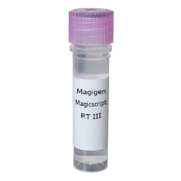 Magicscript 耐高温逆转录酶III 100µl