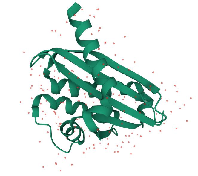 核酸内切酶RNase H的3D结构