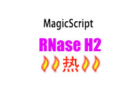 Magigen耐高温RNase HII 2500U-核酸内切酶价格-rhPCR优选-美格生物
