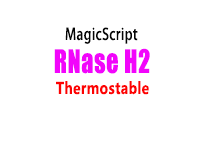 Magigen RNase HII/ RNase H2 for rhPCR