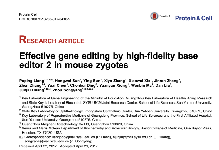 Effective gene editing by high-fidelity base editor 2 in mouse zygotes