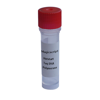 Hotstart Taq DNA Polymerase 5000