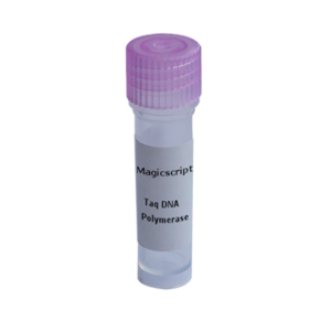 Taq酶 | Taq DNA聚合酶 | Taq DNA Polymerase 250U