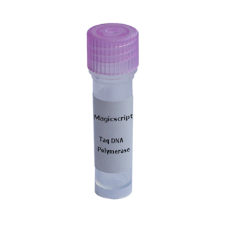 Taq DNA Polymerase 250