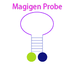 Magigen荧光单链DNA探针-100p-荧光探针