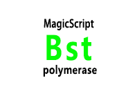 Bst DNA Polymerase, Large Fragment