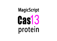 CRISPR Cas13a蛋白