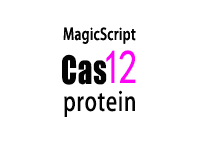 CRISPR CAS12A蛋白