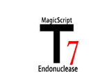 T7 Endonuclease I