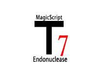 T7核酸内切酶