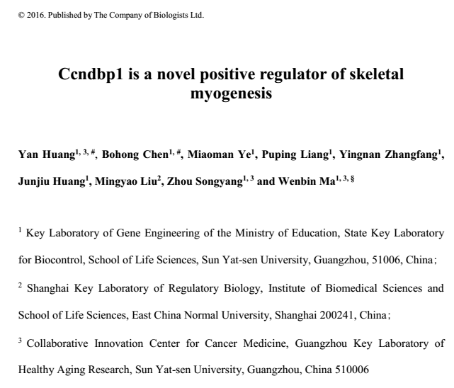 Ccndbp1 is a novel positive regulator of skeletal myogenesis