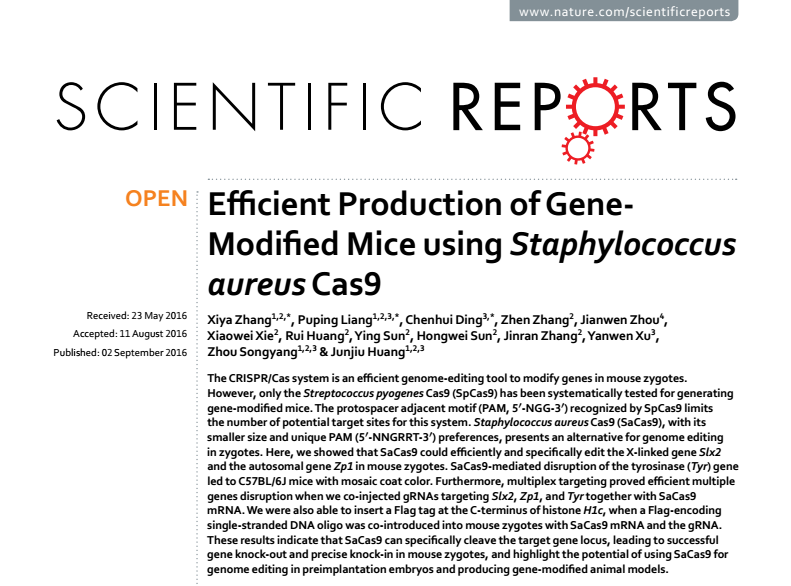 Efficient Production of Gene-Modified Mice using Staphylococcus aureus Cas9